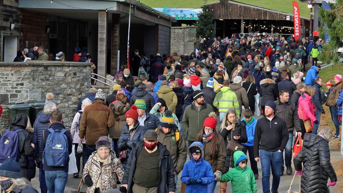 Kick off the festive season with a visit to the Royal Welsh Winter Fair breconradnor.co.uk